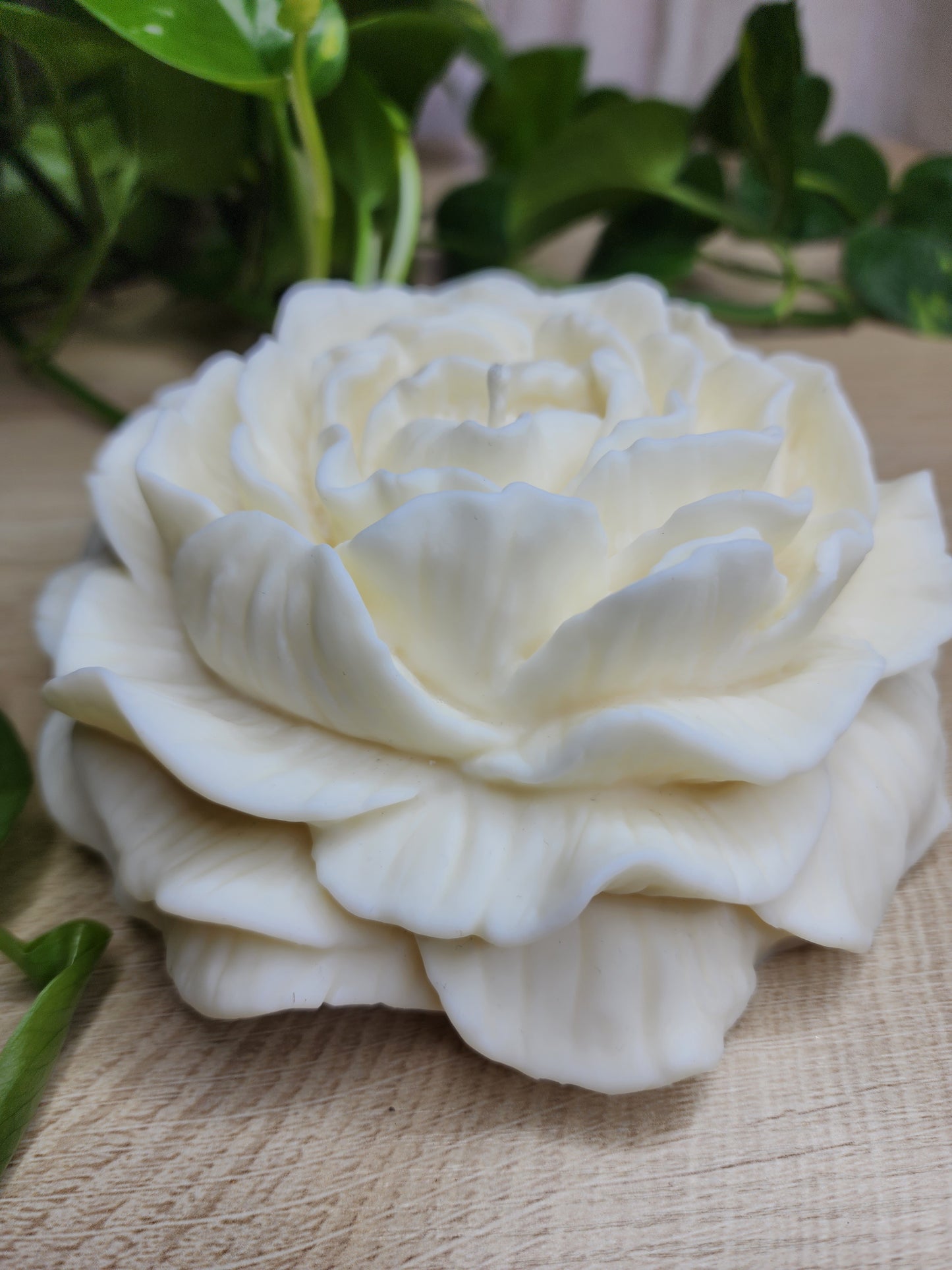Peonia Candle